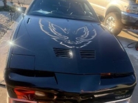 1986 Pontiac Firebird for sale in Michigan (ID-146046)