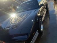 1986 Pontiac Firebird for sale in Michigan (ID-146046)