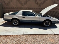 1986 Pontiac Firebird for sale in Michigan (ID-146190)