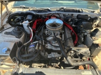 1986 Pontiac Firebird for sale in Michigan (ID-146190)