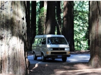 1986 Volkswagen Westfalia for sale in Michigan (ID-146432)