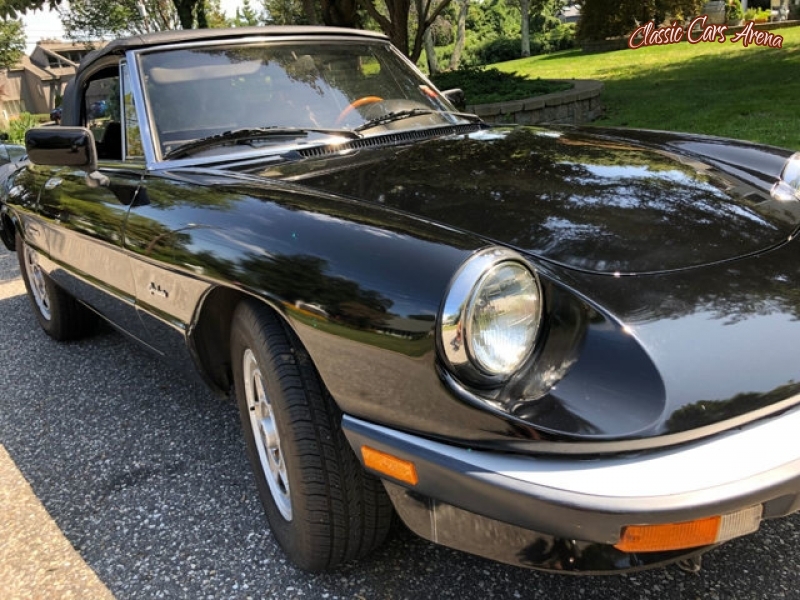 1987 Alfa Romeo Spider for sale in Nesconset, New York (ID-69153)