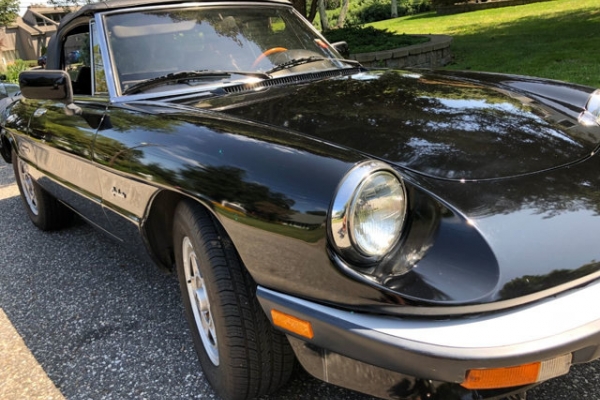 1987 Alfa Romeo Spider for sale