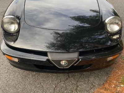 1987 Alfa Romeo Spider for sale