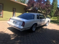 1987 Chevrolet Monte Carlo for sale in Michigan (ID-90408)