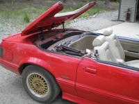 1987 Ford Mustang for sale in Michigan (ID-91954)
