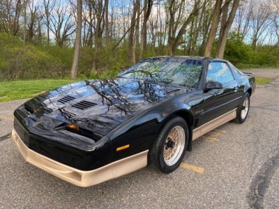 1987 Pontiac Firebird for sale