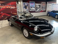 1987 Alfa Romeo Spider for sale in Copiague, New York (ID-142613)