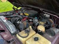 1987 AMC Jeep for sale in Michigan (ID-141992)