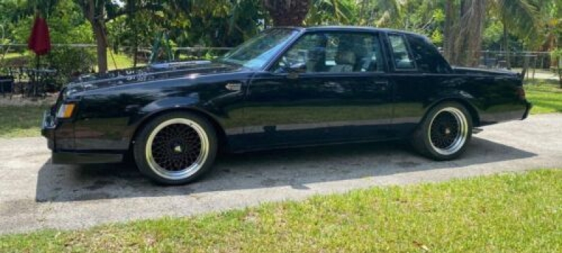 1987 Buick Grand National for sale in Michigan (ID-102825)