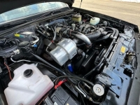 1987 Buick Grand National for sale in Michigan (ID-119280)
