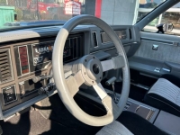 1987 Buick Grand National for sale in Michigan (ID-119280)