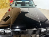 1987 Buick Grand National for sale in Michigan (ID-139545)