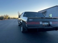 1987 Buick Grand National for sale in Michigan (ID-142010)