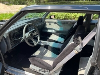 1987 Buick Grand National for sale in Michigan (ID-144965)