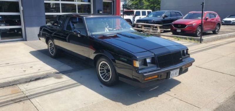 1987 Buick Regal for sale in Michigan (ID-117067)