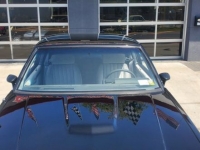 1987 Buick Regal for sale in Michigan (ID-117067)
