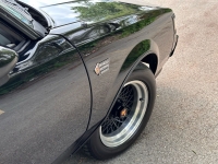 1987 Buick Regal for sale in Addison, Illinois (ID-119181)