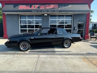 1987 Buick Regal for sale in Riverhead, New York (ID-119406)