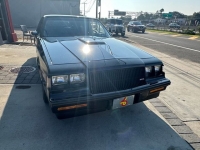 1987 Buick Regal for sale in Riverhead, New York (ID-119406)