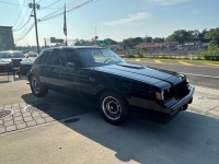 1987 Buick Regal for sale in Riverhead, New York (ID-119406)