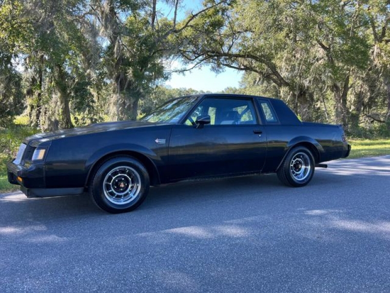 1987 Buick Regal for sale in Riverhead, New York (ID-121061)