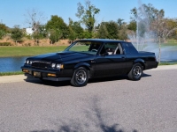 1987 Buick Regal for sale in Riverhead, New York (ID-124087)