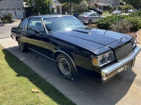 1987 Buick Regal for sale in Michigan (ID-124317)