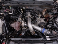 1987 Buick Regal for sale in Riverhead, New York (ID-124877)