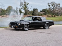 1987 Buick Regal for sale in Riverhead, New York (ID-124877)