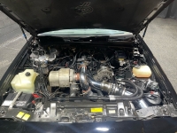 1987 Buick Regal for sale in Addison, Illinois (ID-127008)