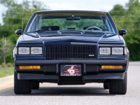 1987 Buick Regal for sale in Riverhead, New York (ID-127272)