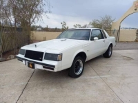 1987 Buick Regal for sale in Michigan (ID-130429)