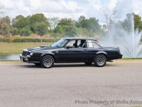 1987 Buick Regal for sale in Riverhead, New York (ID-135839)