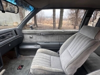 1987 Buick Regal for sale in Michigan (ID-140237)
