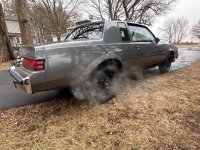 1987 Buick Regal for sale in Michigan (ID-140237)