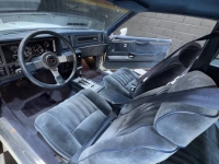 1987 Buick Regal for sale in Addison, Illinois (ID-143579)