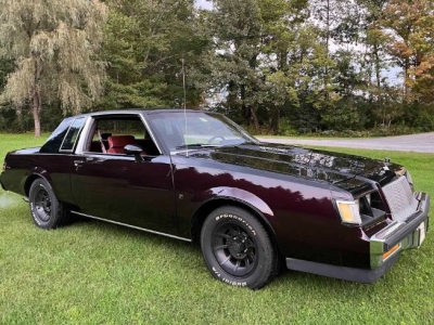 1987 Buick Regal for sale in Michigan