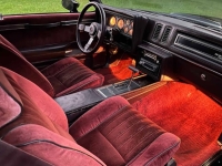 1987 Buick Regal for sale in Michigan (ID-144400)