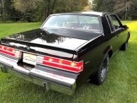 1987 Buick Regal for sale in Michigan (ID-144400)