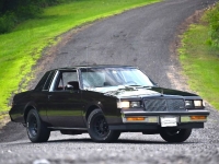 1987 Buick Regal for sale in Michigan (ID-144400)