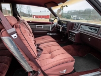 1987 Buick Regal for sale in Addison, Illinois (ID-155037)