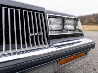 1987 Buick Regal for sale in Addison, Illinois (ID-155037)