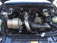 1987 Buick Regal for sale in Riverhead, New York (ID-162736)