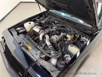 1987 Buick Regal for sale in Riverhead, New York (ID-163995)