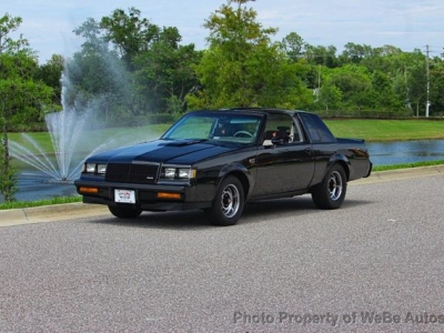 1987 Buick Regal for sale in New York