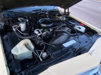 1987 Cadillac Fleetwood for sale in Michigan (ID-115064)