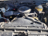 1987 Chevrolet 1500 for sale (ID-123846)