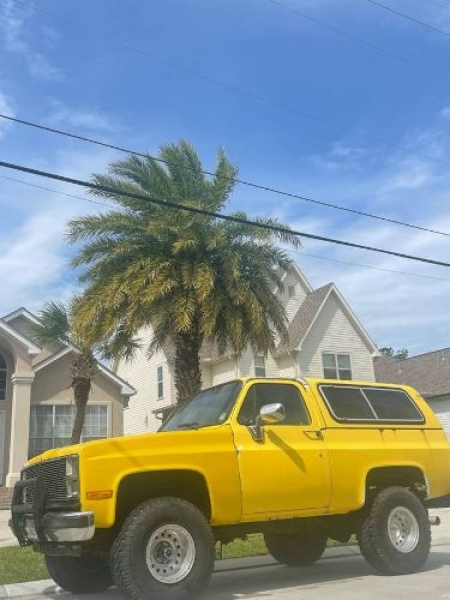 1987 Chevrolet Blazer for sale in Michigan (ID-100899) 1987 Chevrolet Blazer for sale in Michigan (ID-100899)