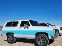 1987 Chevrolet Blazer for sale in Michigan (ID-106247)